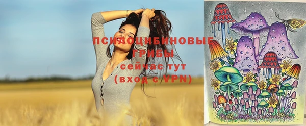 PSILOCYBIN Магадан