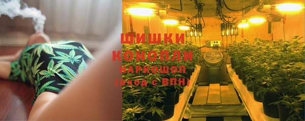 PSILOCYBIN Магадан