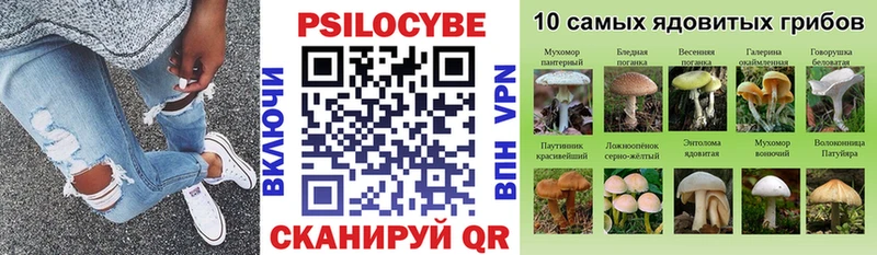 omg зеркало  Хилок  Псилоцибиновые грибы MAGIC MUSHROOMS 