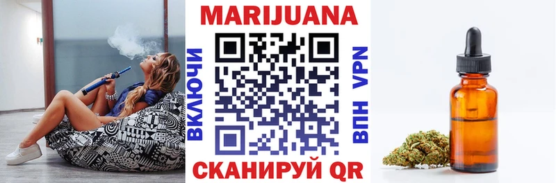Конопля сатива  Хилок 
